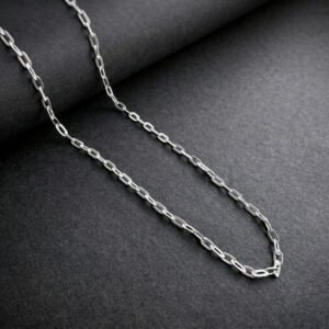 paperclip chain / fancy curb link chain